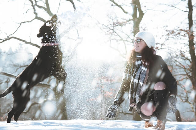vacances d'hiver avec son chien et son chat